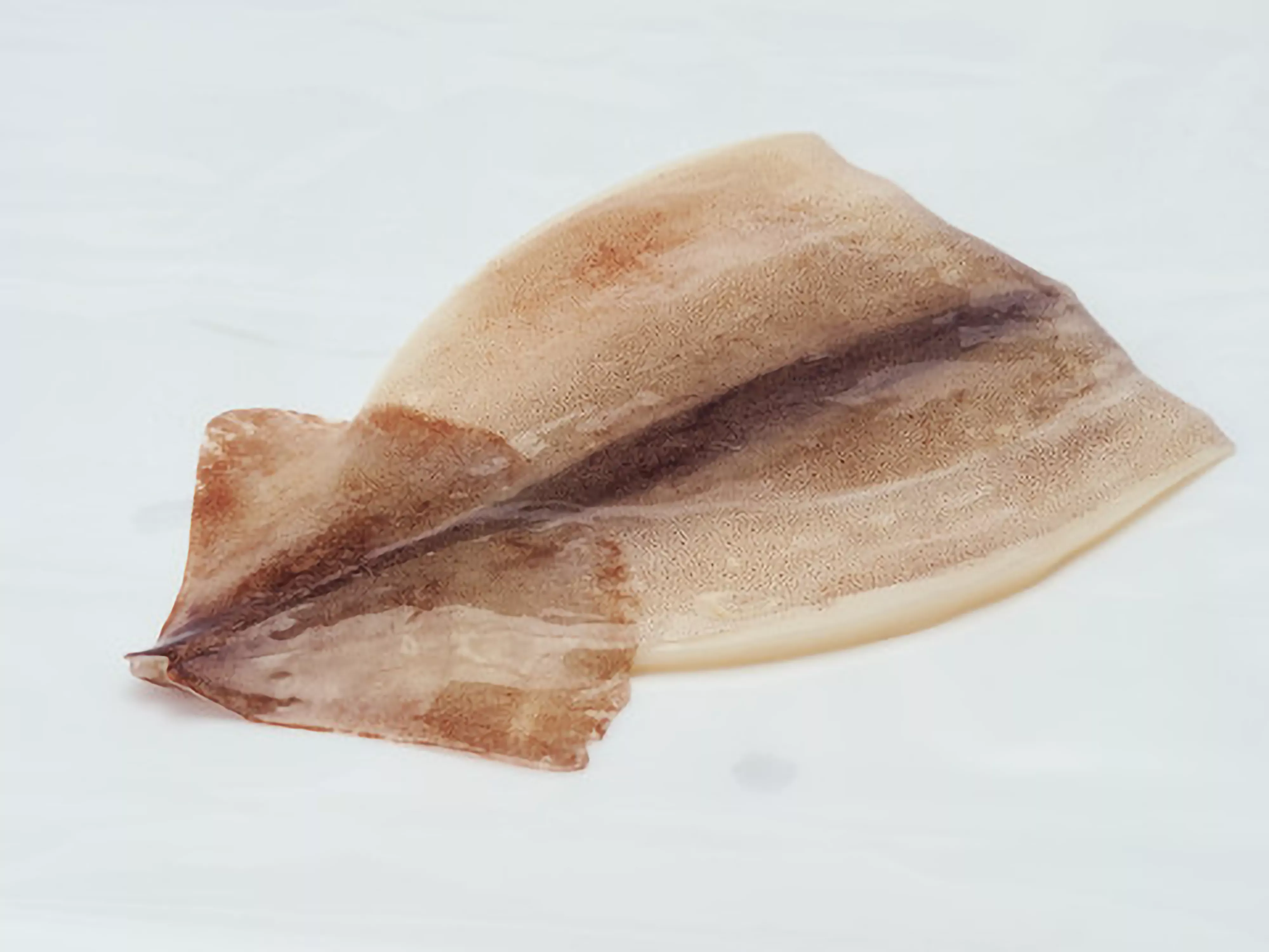 Squid slices